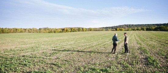 Préemption de la Safer sur une parcelle agricole : le droit du vendeur de se retirer